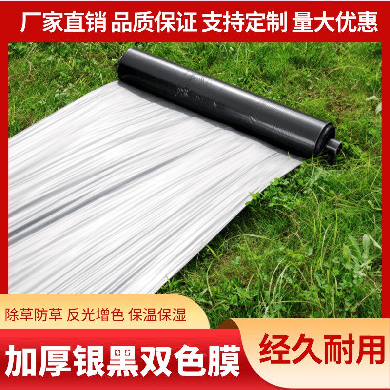 银黑双色反光地膜农用保温加厚草莓果园大棚专用防草防虫除草地膜