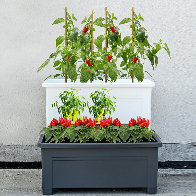 家用蔬菜大种植箱大号花盆户外长方形屋顶塑料种植种菜阳台高脚盆