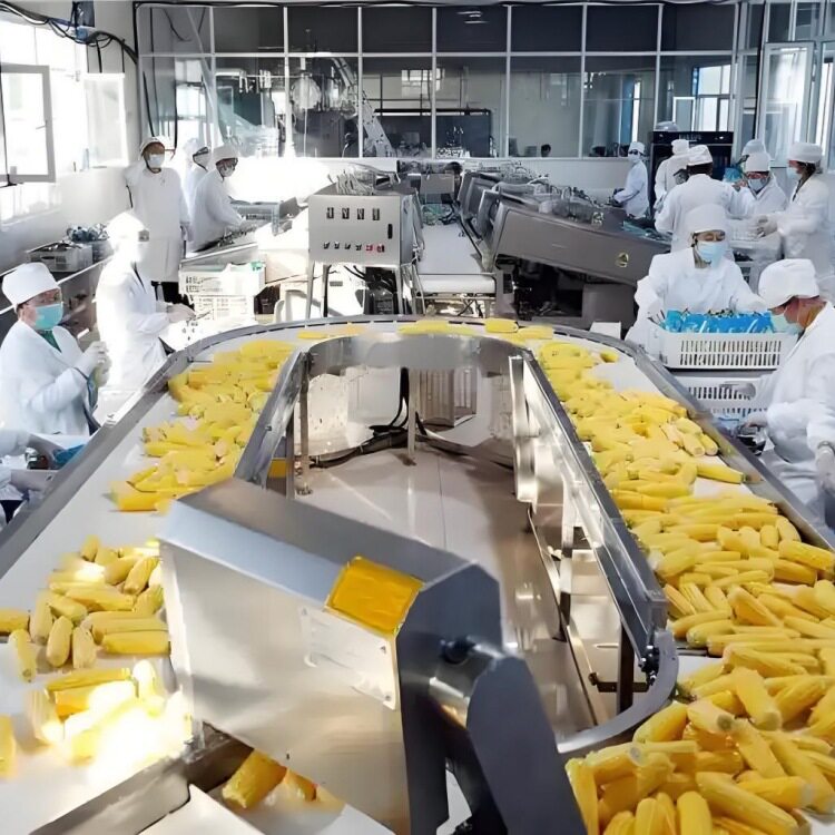 商用东北甜玉米扒皮机速冻糯玉米鲜棒生产线设备