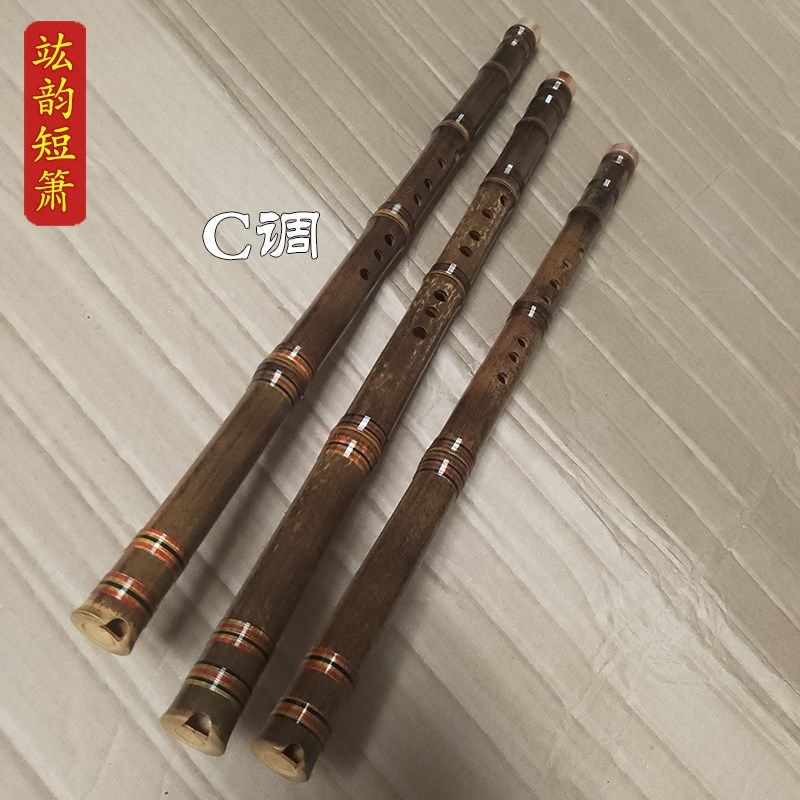 竑韵迷你吹奏乐器新手易学洞箫初学入门八孔竹萧专业级紫竹短箫