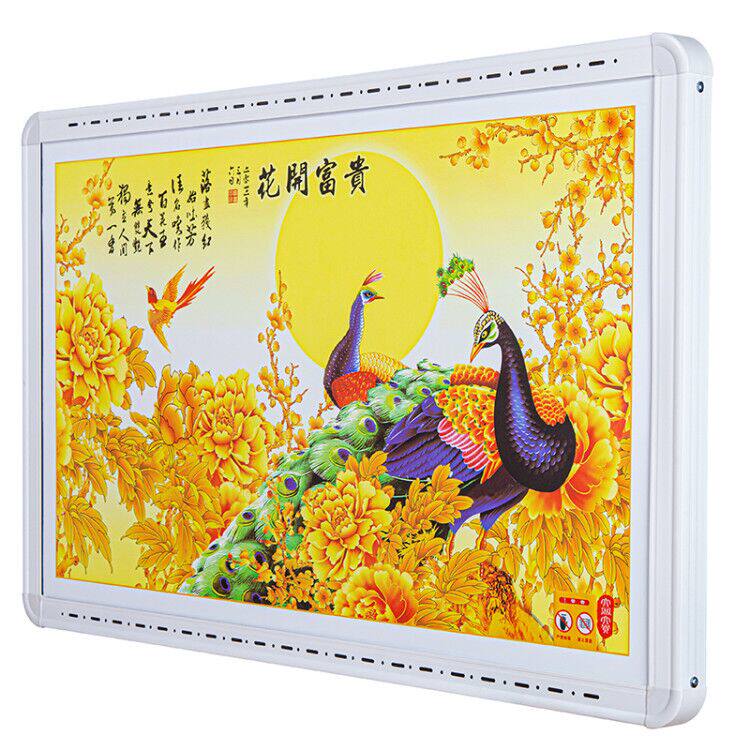碳晶墙暖取暖器移动式电暖器家用节能双面电暖画落地电热画电热板