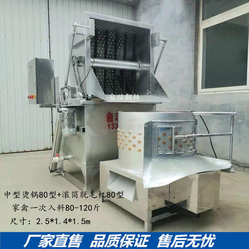 鸡鸭鹅脱毛机大型商用全自动烫毛脱毛一体机鹌鹑家禽屠宰脱毛设备
