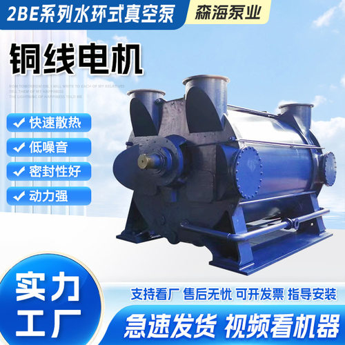 厂家供应2BE系列水环式真空泵气体输送高真空防水循环真空泵机组