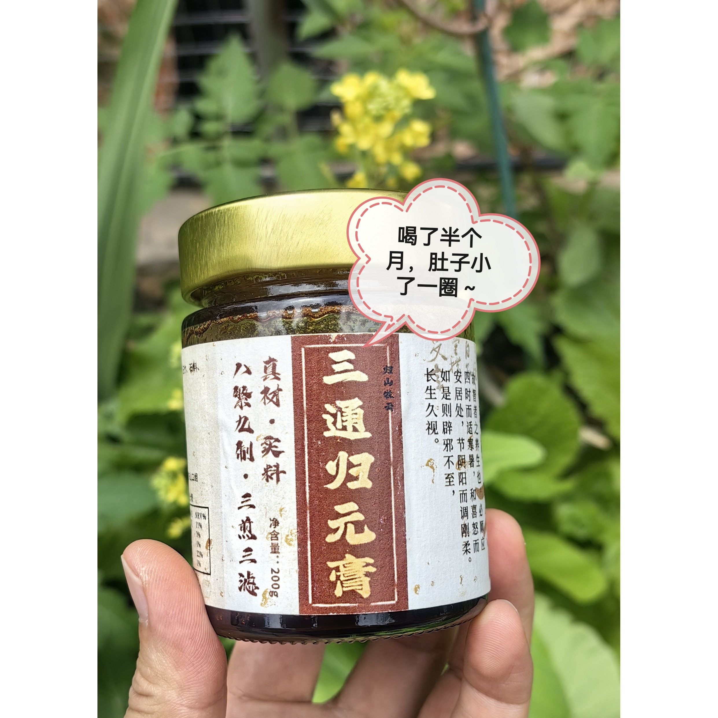 [五指桂苓膏]湿气膏-伏湿膏湿热痰湿寒湿-上热中堵下寒调理养生膏