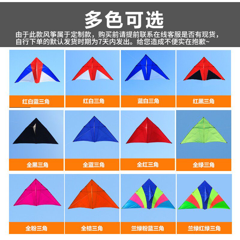 潍坊王侉子风筝伞布碳杆专业大型成人玩家微风风筝