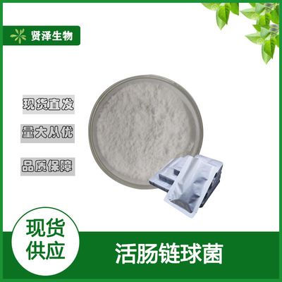 活肠链球菌300亿cfu/g  多规格 乳杆菌活菌 贤泽生物 现货供应