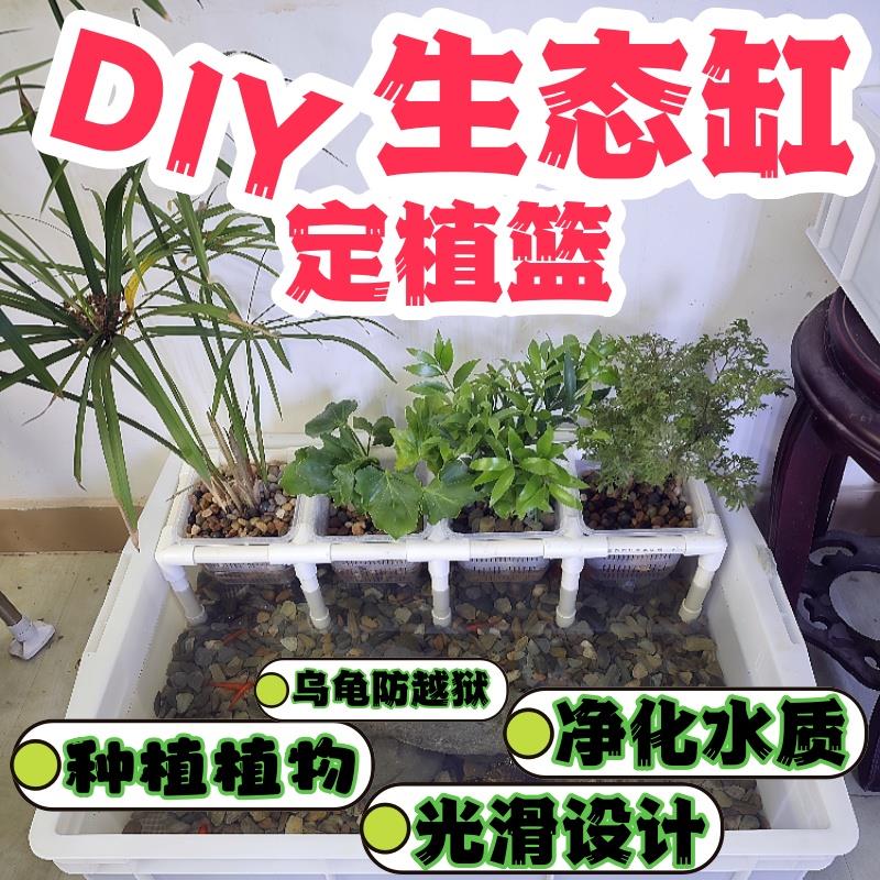 周转箱生态龟箱定植篮支架水培支架龟箱绿植种植盒架子龟缸绿植新图片
