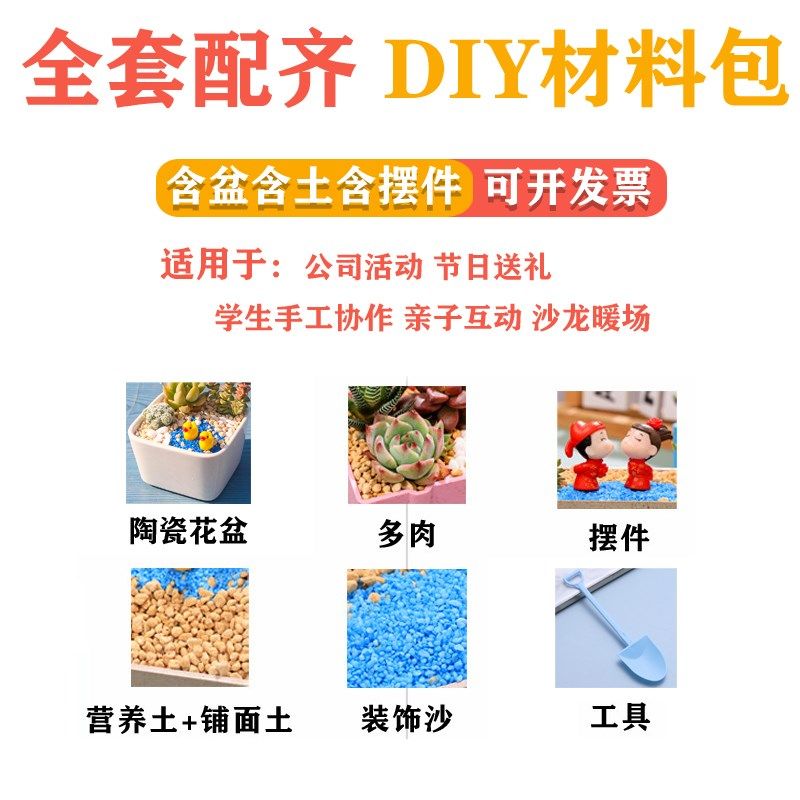 多肉植物组合盆栽套餐含盆含土含摆件公司活动材料包多肉diy套装