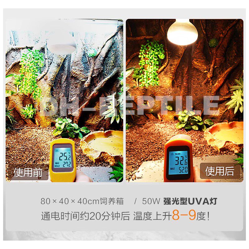 爬宠全光谱灯太阳灯uva晒被uvb日灯乌龟树蛙鬃狮秋冬保暖加热灯泡