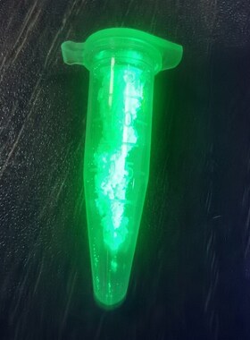 实验LED手电筒365 380 390 400 410 440 450 470 480 nm科研专用