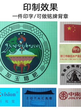 静电服工作服无尘服连体橙色紫色男女通用不沾灰养殖一体式洁净服