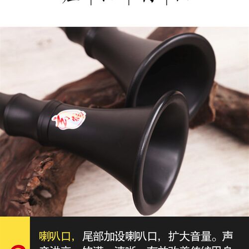 巴乌乐器竖吹成人专业演奏G调F调小学生初学入门大音量单管乐器