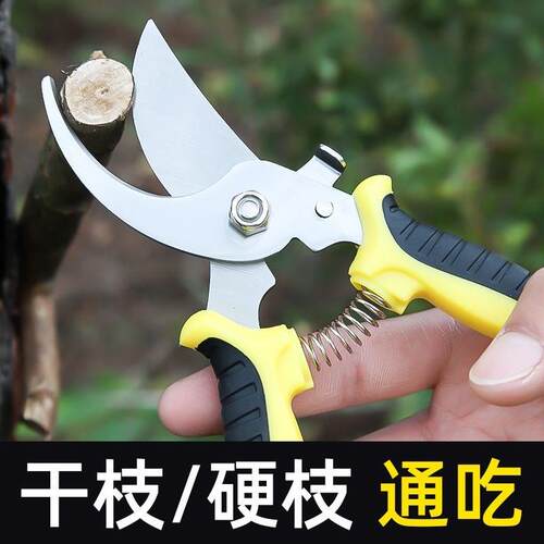 花剪枝园艺剪刀修枝剪省力修剪树枝果树竹签园林花卉专用花艺剪子