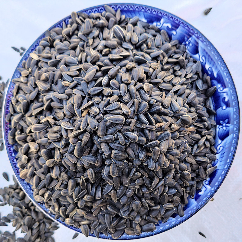 10斤装油葵籽小瓜子鸟食仓鼠零食虎皮玄凤鸟粮鸽粮包邮