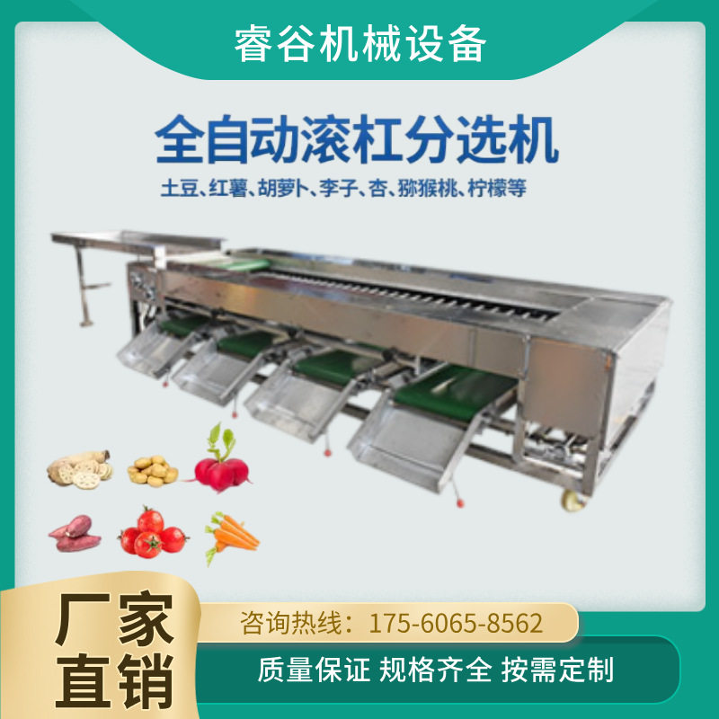 甄选滚杠选果机 脐橙分拣机 果蔬捡果设备 脐橙柠檬分选机设备图片