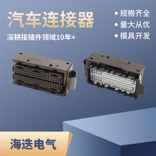 1928405312主汽车连接器接插件插头对接插头DJ7962F-1.2-21
