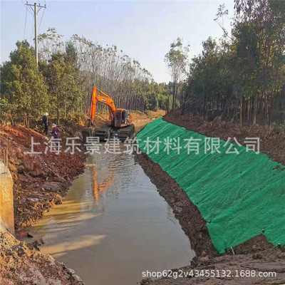 三维植被网护坡植草网园林绿化喷播种植草籽防护绿色土工网现货