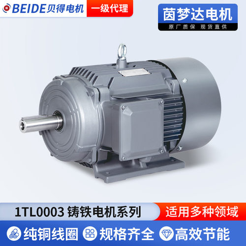 贝得1TL0003铸铁电机低压三相异步电动机0.55-315kw工业用电动机