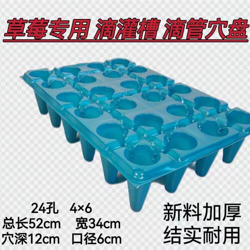 草莓专用滴管槽育苗穴盘托盘 新塑料加厚加深耐用 量大优惠  包邮