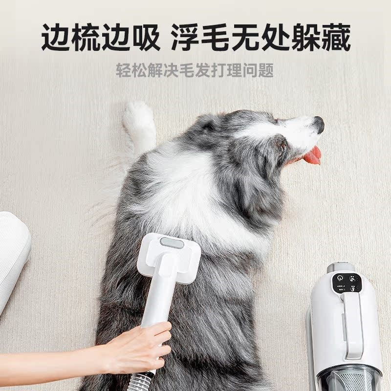 艾主人宠物吹水机狗狗吹毛专用神器 吹风美毛一体机图片