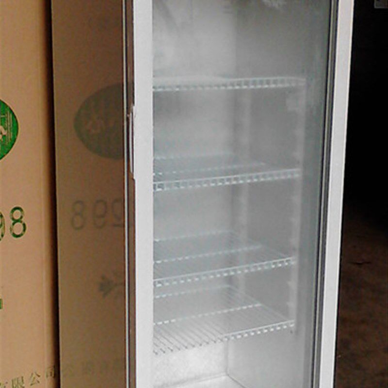 立式玻璃单门冷藏柜展示柜保鲜柜饮料啤酒柜冰柜(带锁)