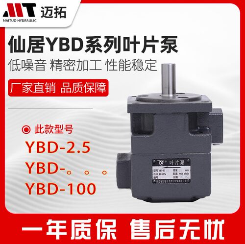 YBD-100仙居永灵叶片泵YBD-2.5/4/6/10/16/20/25/32/63/80/125正