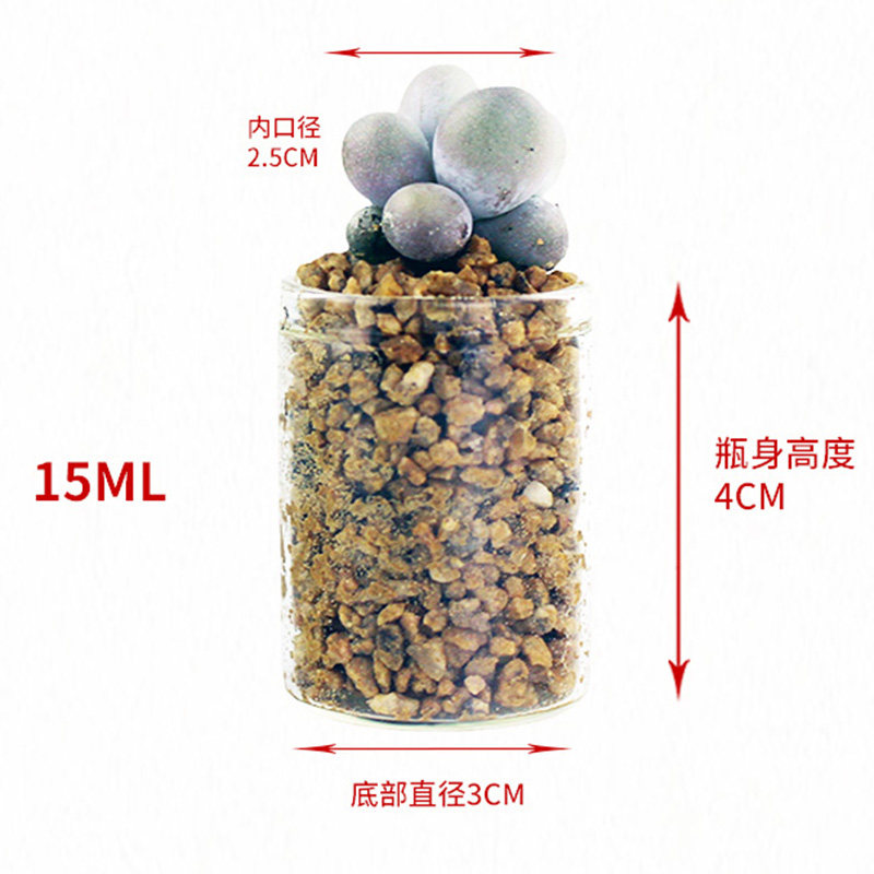 包邮特小试管花瓶迷你花器小号绿植物指尖水培瓶多肉玻璃瓶高颜值