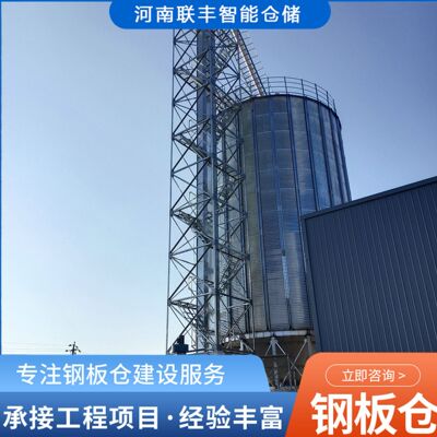联丰仓储300吨的粮食钢板仓玉米小麦立筒仓占地小成本低