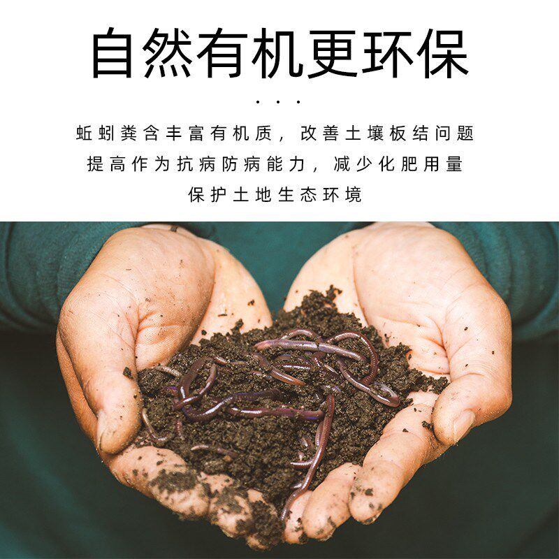 广正丰原绿蚯蚓粪有机肥料营养土通用种菜专用育蔬菜果树绿植盆栽