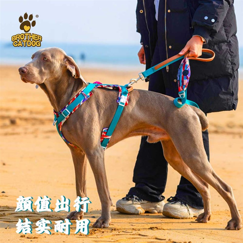 狗狗胸背带牵引中大型犬外出牵引绳牵狗绳防挣脱大狗夏天