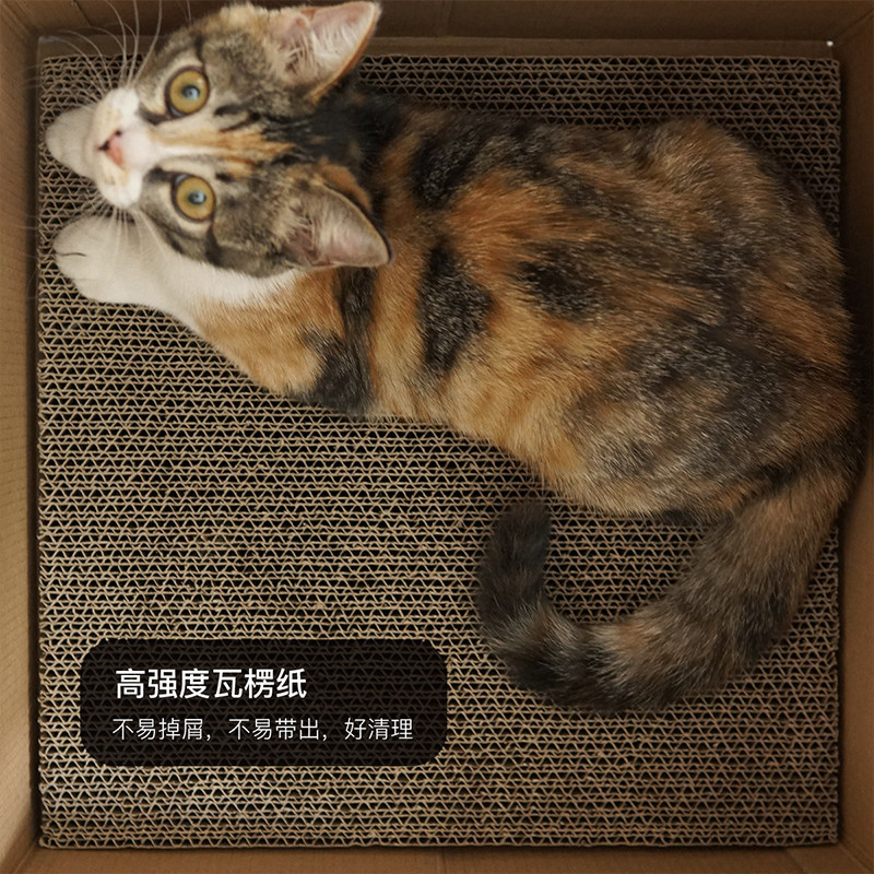 超萌小鸡盒 宠物猫咪封闭抓板猫窝瓦楞纸箱用品耐磨爪牛奶屋一体