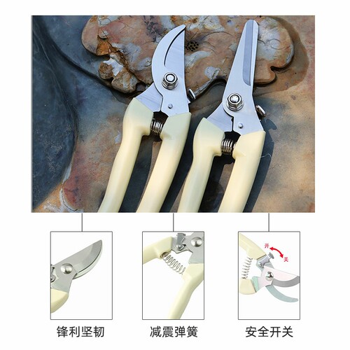 园艺剪刀剪枝剪树枝修枝剪花剪园林修剪粗枝剪子省力花艺工具果树