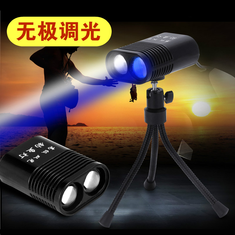 新品钓鱼灯夜钓灯蓝光可调双色光源混合强光超亮垂钓灯大功率台钓