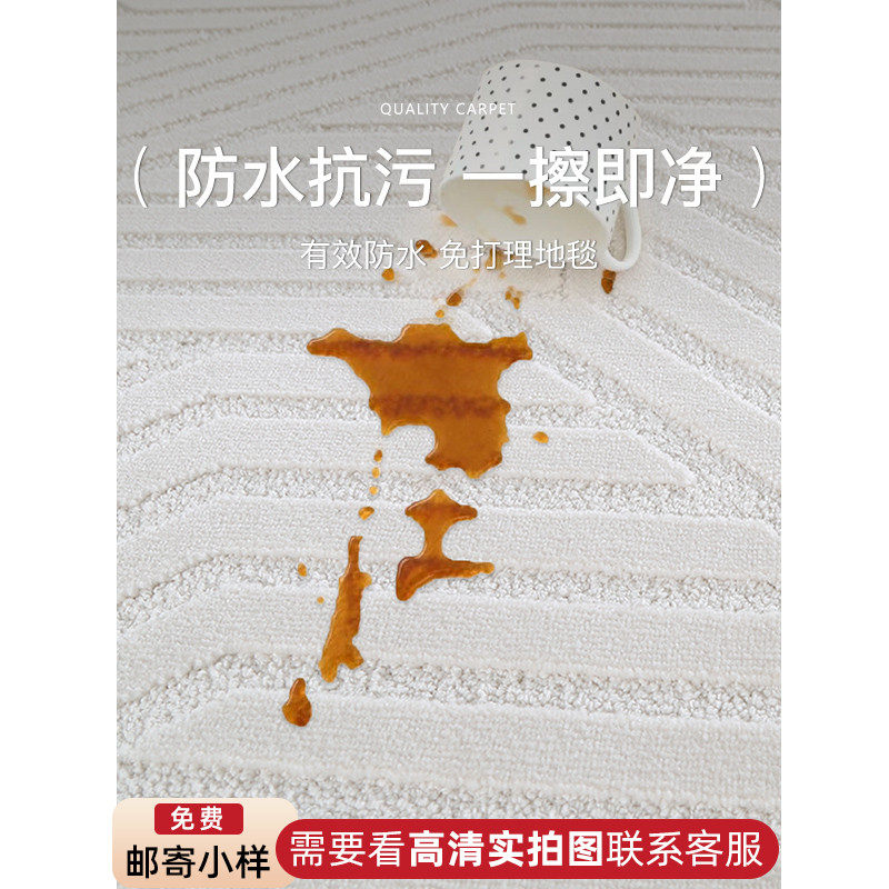 2024新款高级感奶油地毯客厅沙发茶几毯防水免洗日式卧室床边毯