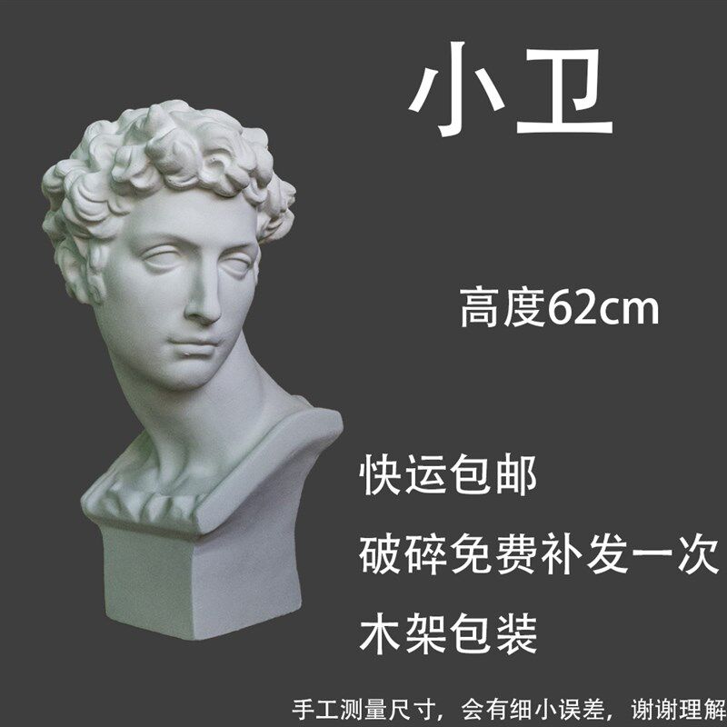包邮素描石膏像大卫小卫马赛海盗伏尔泰罗马青年罗马少女阿格里巴