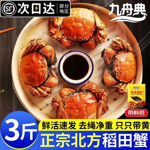 抢鲜盘锦蟹2026年新蟹上市3斤装