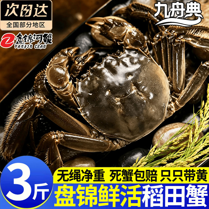 正宗盘锦鲜活特大母大闸蟹礼盒