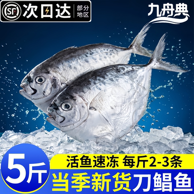 深海捕捞新鲜冷冻整箱鲳鱼顺丰