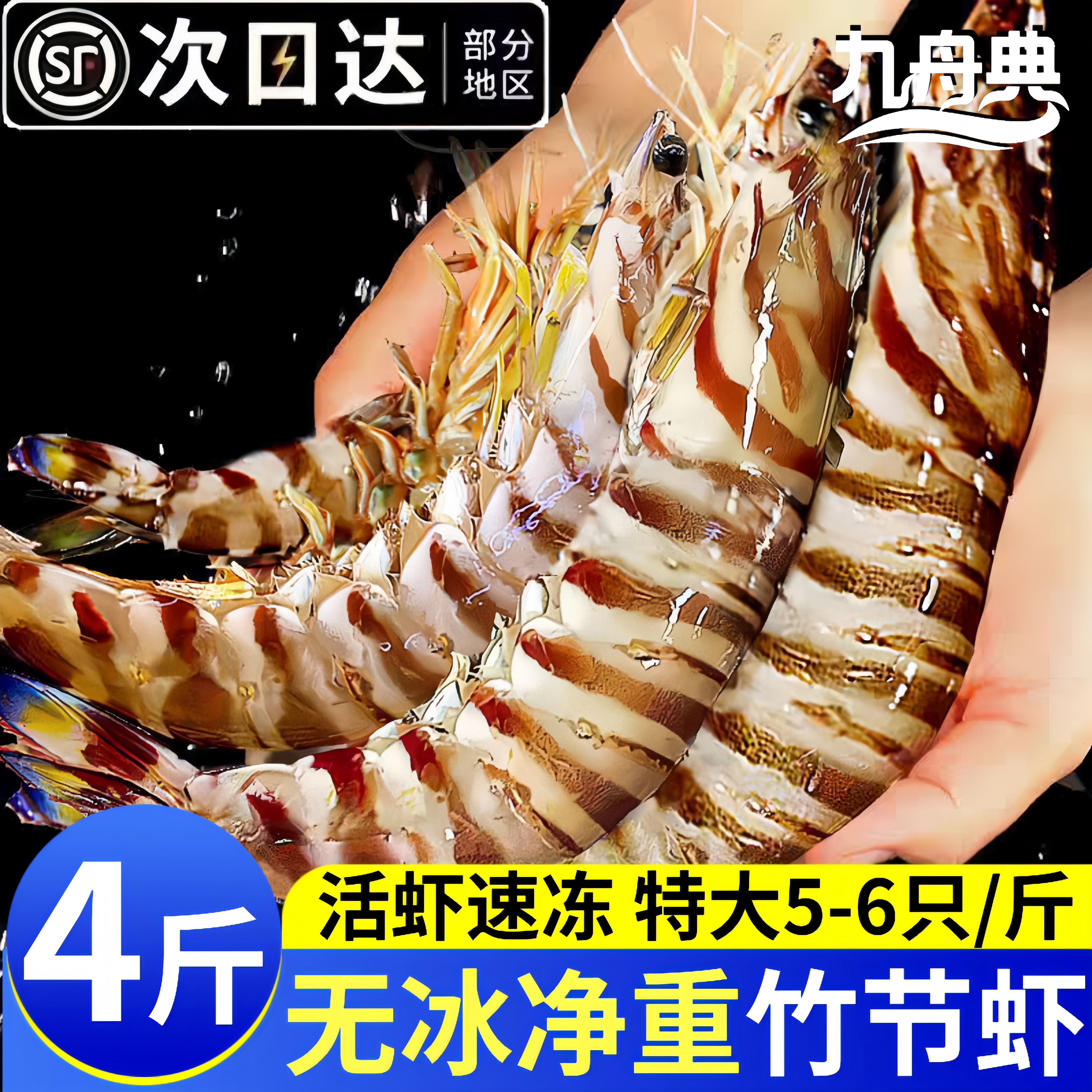 超大竹节虾5-6头/斤九节虾斑节虾