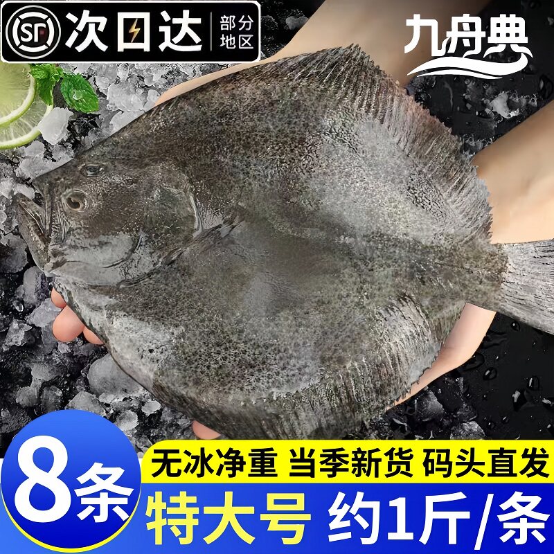 新鲜冷冻特大号多宝鱼海鱼