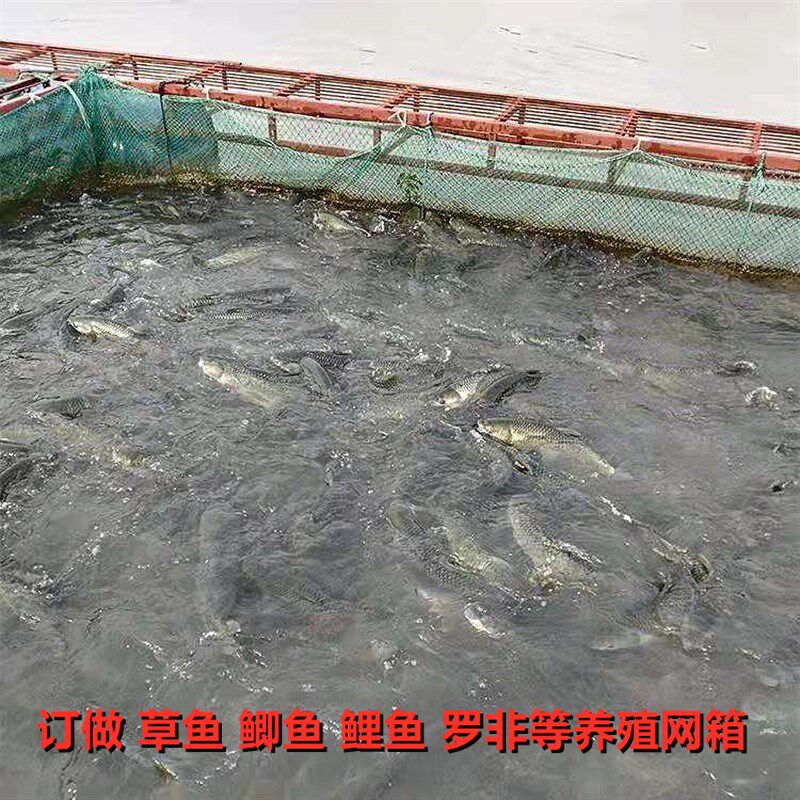 养鱼网小鱼大鱼网箱存鱼抬网地网拉网隔断网鱼箱水产养殖池塘水库