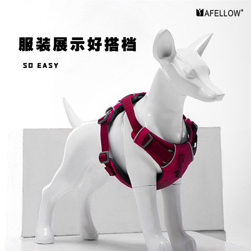 吉娃娃塑料狗模型道具树脂狗摆件可拆卸宠物服装店橱窗展示狗模特