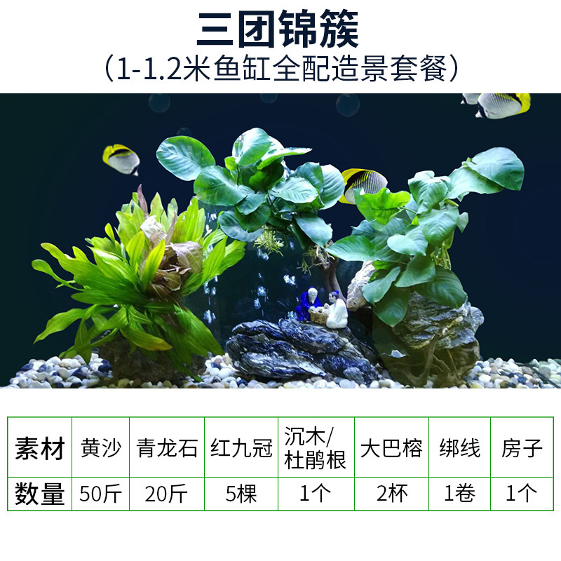 大鱼缸装饰造景套餐1-1.2米金鱼草缸天然真水草活体假山石头沉木