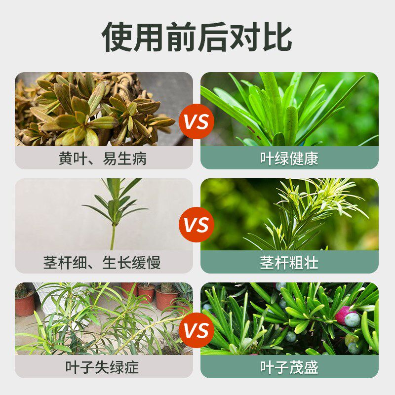罗汉松专用肥缓释肥泰山松肥氮磷钾有机肥雀舌松树营养液盆景肥料