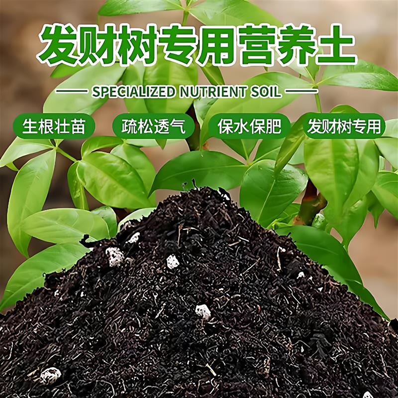 发财树专用土营养土有机盆栽绿植肥料专用肥土家用养分均衡土壤