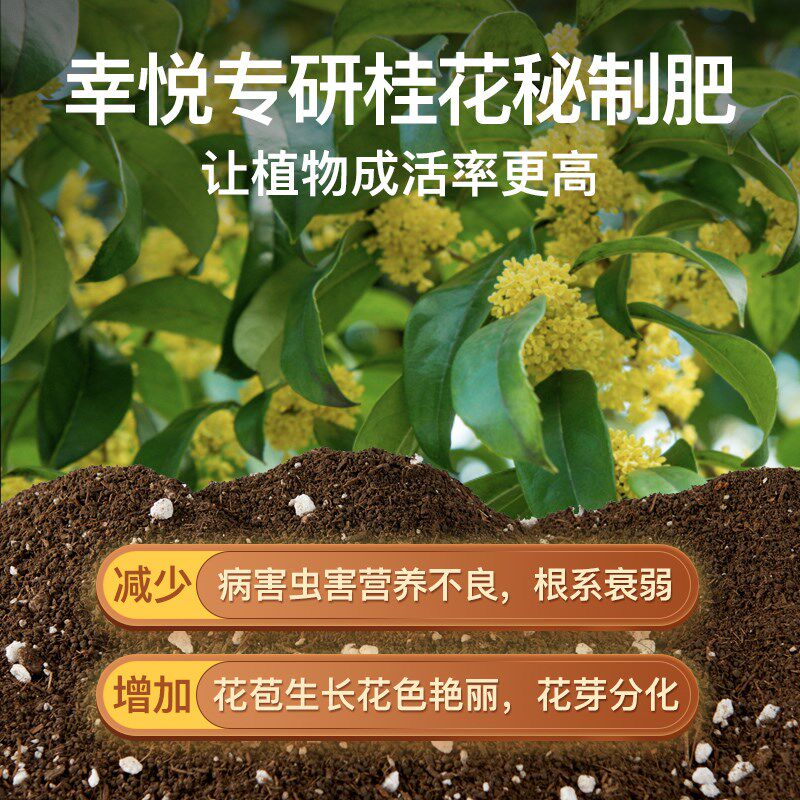 养桂花专用土营养土盆栽土桂花树专用土肥料专用肥土壤泥土种植土