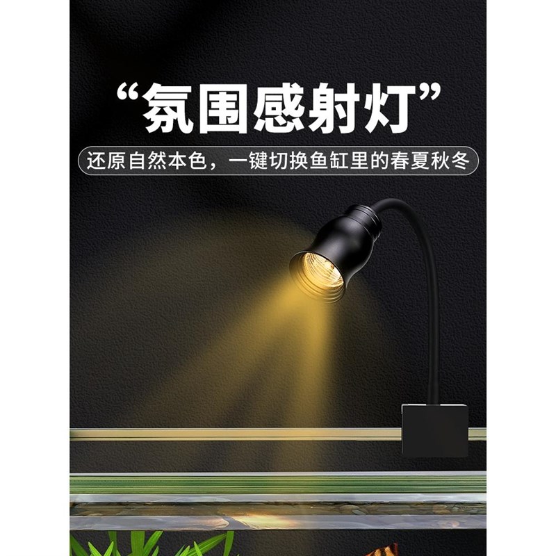 南美溪流造景缸新款客厅中大型玻璃鱼缸桌面草缸原生态鱼龟混养缸