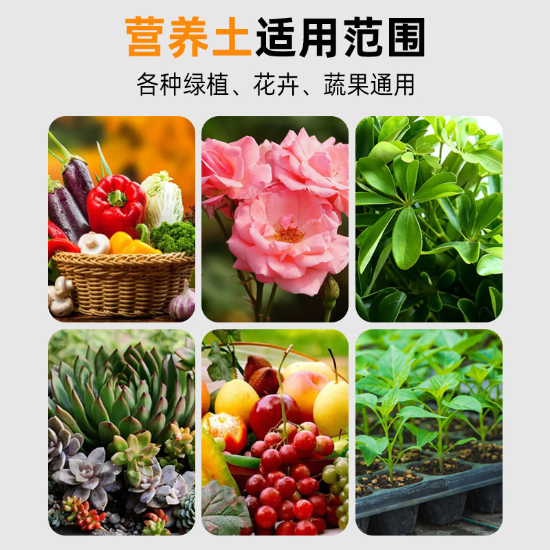 丹麦品氏泥炭土原装进口小包80升老款专用营养花土草炭土月季绣球