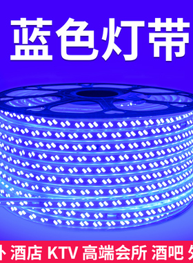 LED蓝光灯带220V蓝色灯条超高亮户外防水天花吊顶KTV招牌灯箱装饰