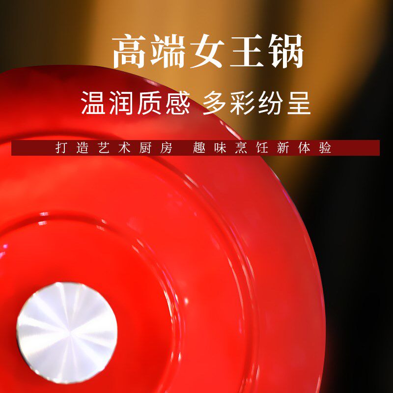 法式珐琅锅海鲜锅炖盅家用汤锅砂锅燃气灶电磁炉通用平底锅焖烧锅